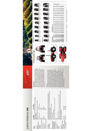 Allrad-Traktoren Carraro Ergit TGF 9800