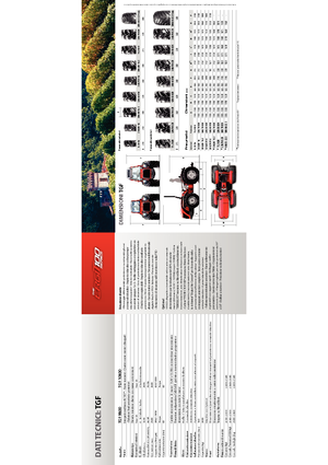 Allrad-Traktoren Carraro Ergit TGF 9800