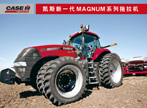 Allrad-Traktoren Case IH Magnum 290 Komfort
