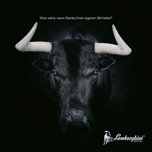 Allrad-Traktoren Lamborghini Nitro 120 VRT DT