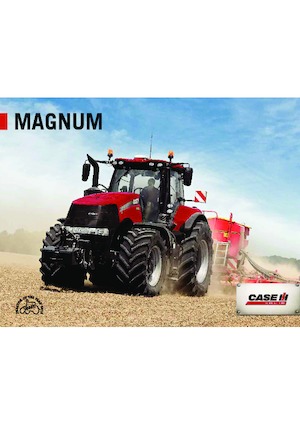 Allrad-Traktoren Case IH Magnum 310 CVX Basis