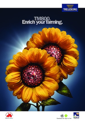 Landmaschinen Reifen Trelleborg TM800 650/65R42 165 D (168A8)