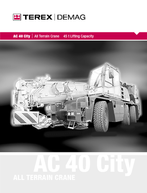 AT-Krane Terex-Demag AC 40 City (6x4x6)