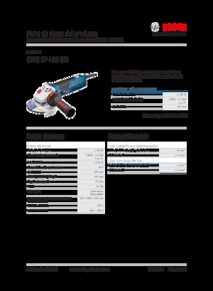 Winkelschleifer Bosch GWS 17-125 CIE