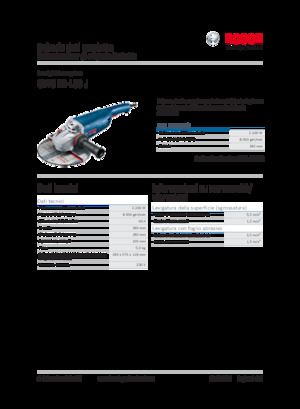 Winkelschleifer Bosch GWS 22-180 J
