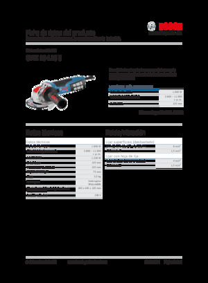 Winkelschleifer Bosch GWX 19-125 S