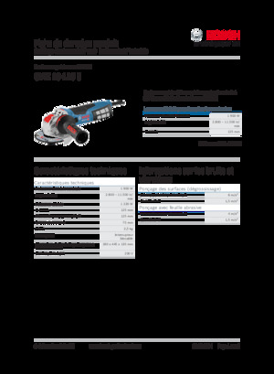 Winkelschleifer Bosch GWX 19-125 S