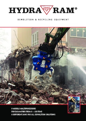 Multiprozessoren Hydra Ram HMK-10