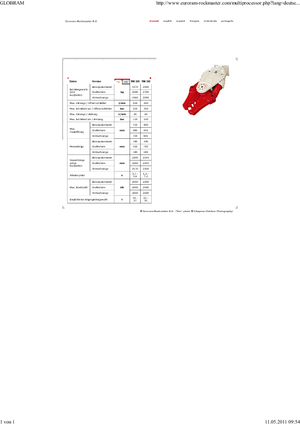 Multiprozessoren Globram RM330