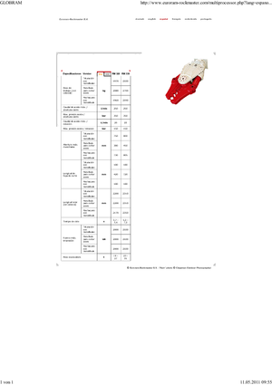 Multiprozessoren Globram RM330