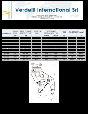 Beton-Pulverisierer Verdelli D.I. 13