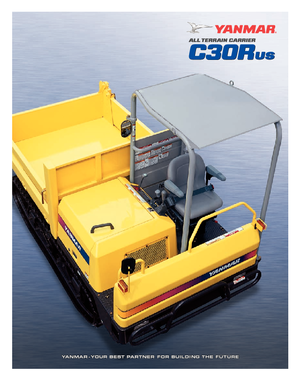 Raupendumper Yanmar C 30 R 2 B