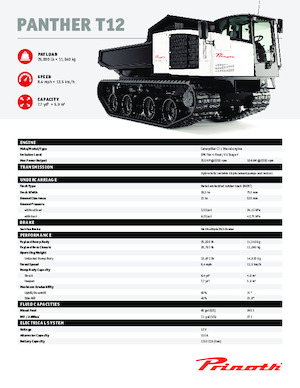 Raupendumper Prinoth Panther T12