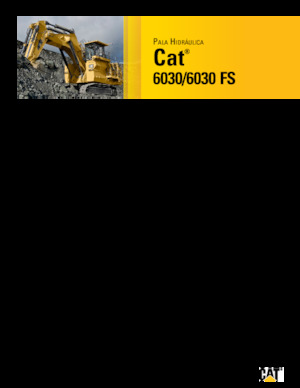 Raupenbagger Caterpillar 6030 FS