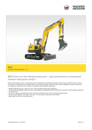 Raupenbagger Neuson 8003