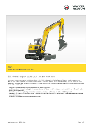 Raupenbagger Neuson 8003