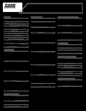 Raupenbagger Case CX 460