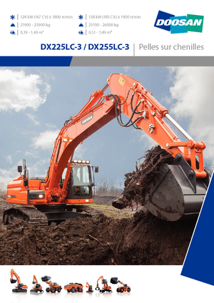 Raupenbagger Doosan DX255NLC-3