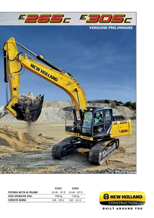 Raupenbagger New Holland E305C
