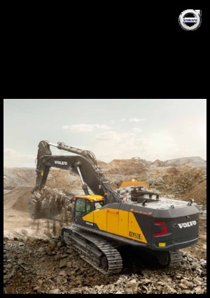 Raupenbagger Volvo EC950E