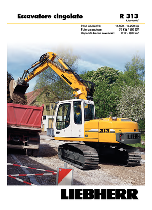 Raupenbagger Liebherr R 313 Litronic
