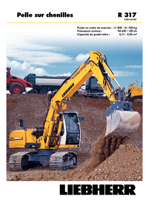 Raupenbagger Liebherr R 317 Litronic