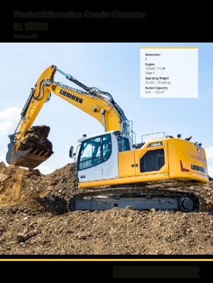 Raupenbagger Liebherr R 924 Litronic 
