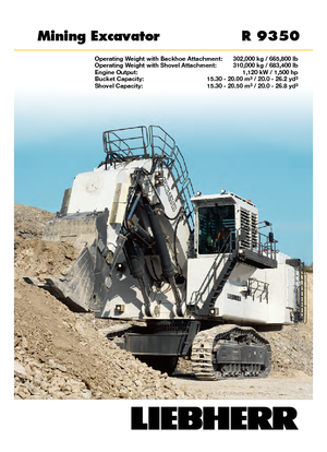 Raupenbagger Liebherr R 9350 