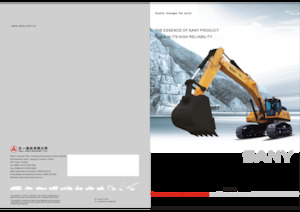 Raupenbagger Sany SY420C