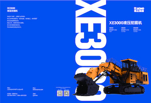 Raupenbagger XCMG XE3000