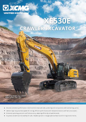 Raupenbagger XCMG XE530E