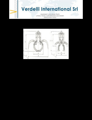 Abbruch-Sortiergreifer Verdelli F.E.E. /25