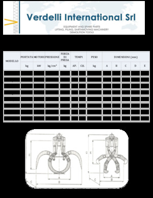 Abbruch-Sortiergreifer Verdelli F.E.E. /25