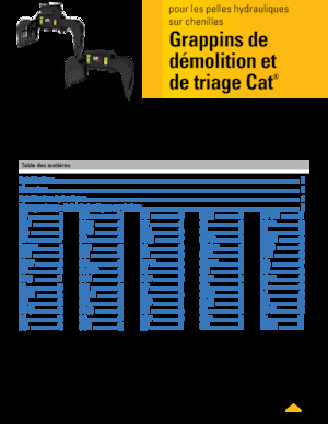 Abbruch-Sortiergreifer Caterpillar G318