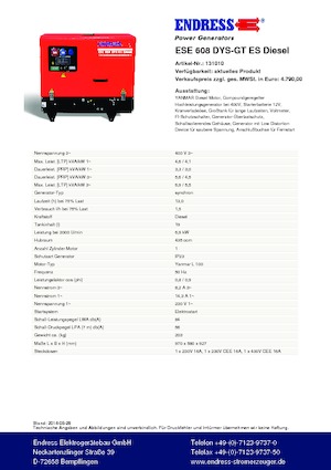 Stromerzeuger, Benzin Endress ESE 608 DYS-GT ES DI