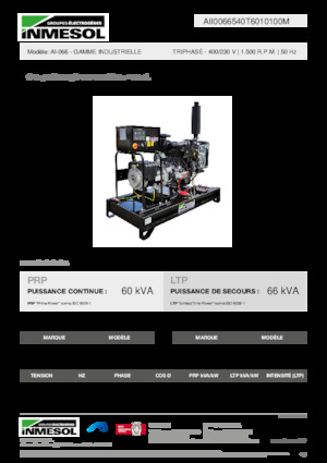 Stromerzeuger, Diesel INMESOL AI-066