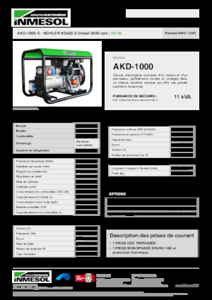 Stromerzeuger, Diesel INMESOL AKD-1000-E