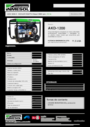 Stromerzeuger, Diesel INMESOL AKD-1200-E