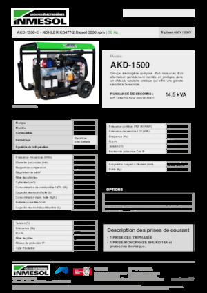 Stromerzeuger, Diesel INMESOL AKD-1500-E