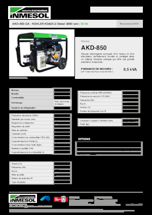 Stromerzeuger, Diesel INMESOL AKD-850-CA