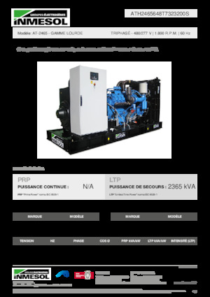 Stromerzeuger, Diesel INMESOL AT-2465