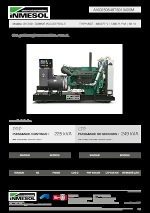 Stromerzeuger, Diesel INMESOL AV-250