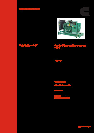 Stromerzeuger, Diesel Cummins C100 D5