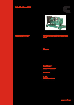 Stromerzeuger, Diesel Cummins C110 D5