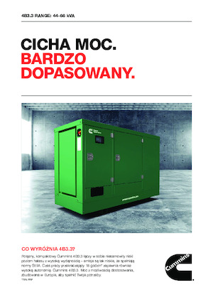 Stromerzeuger, Diesel Cummins C66D5EQ