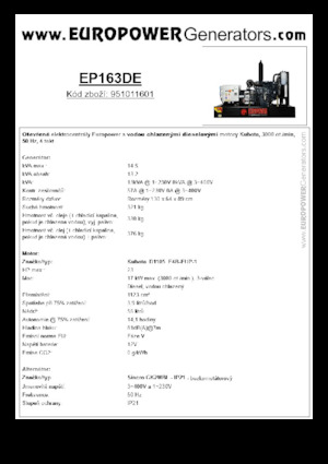Stromerzeuger, Diesel Europower EP163DE (S)