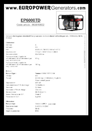 Stromerzeuger, Diesel Europower EP6000TD (S)