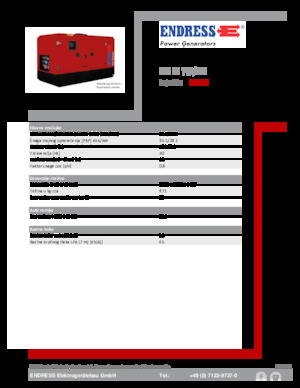 Stromerzeuger, Diesel Endress ESE 35 YW/MS