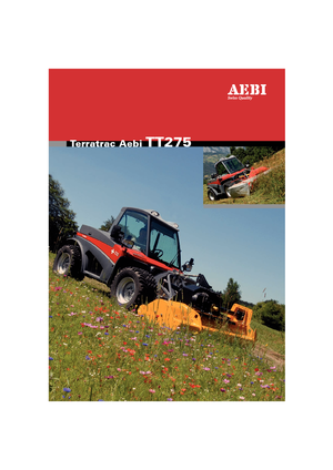 Kommunale Mehrzweckfahrzeuge Diesel Aebi TT 275