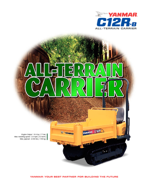 Raupendumper Yanmar C 12 RB
